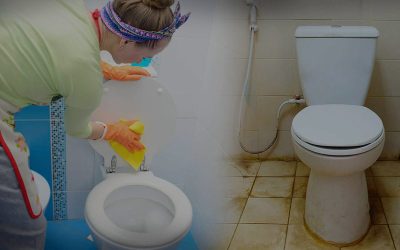 Feces and Urine Cleanup