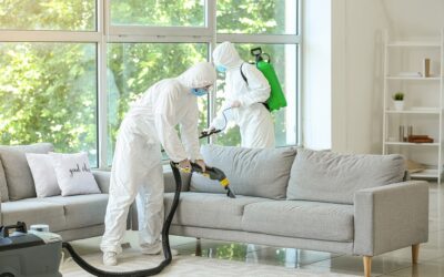 Certification Matters: Why You Should Only Hire a Certified Biohazard Cleanup Company
